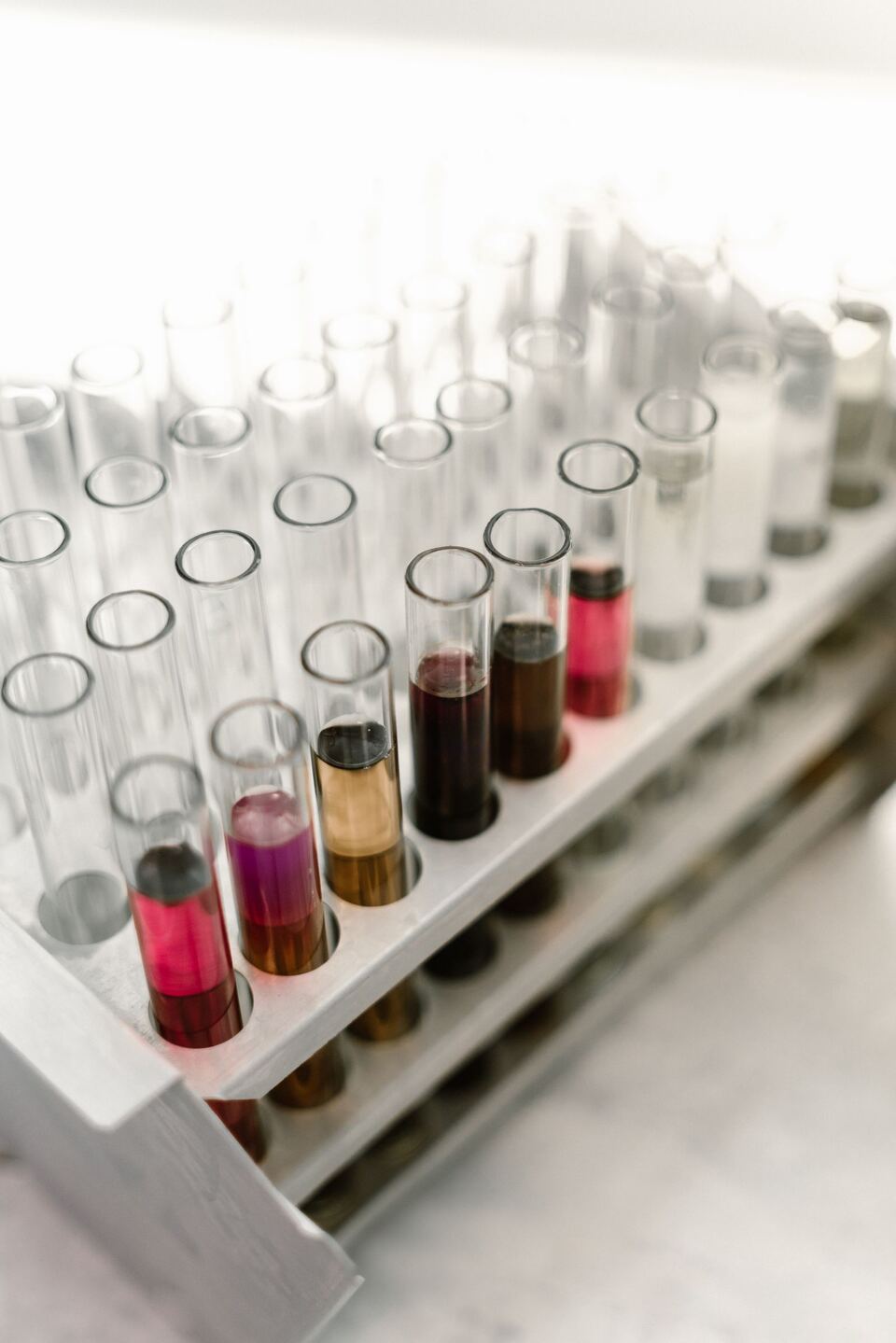 Gradilla con tubos de ensayo de vidrio y soluciones de distintos colores en un laboratorio